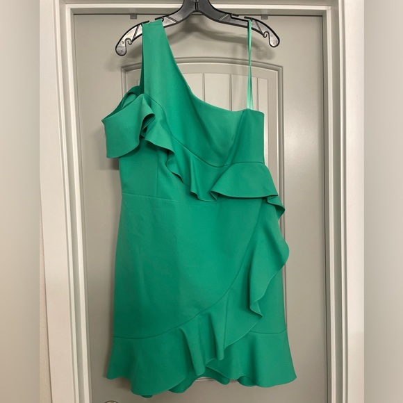 BCBG Maxazria Ruffle dress - Picture 6 of 6